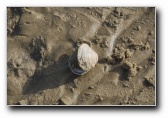 [Click to enlarge]